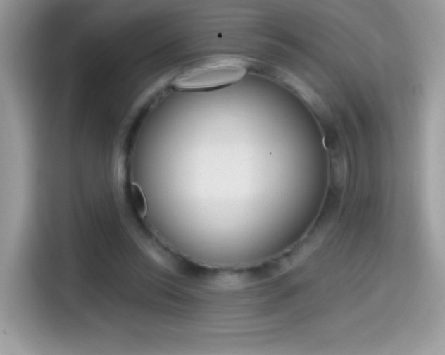 X0000114440350200910161056