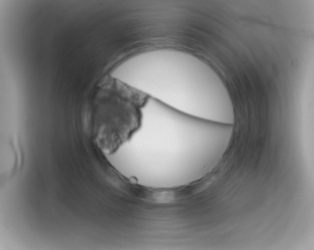 X0000114440355200910161056
