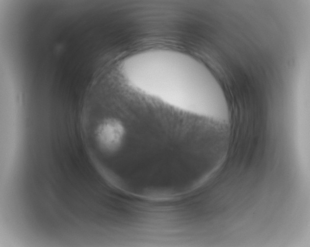X0000114440359200910161057