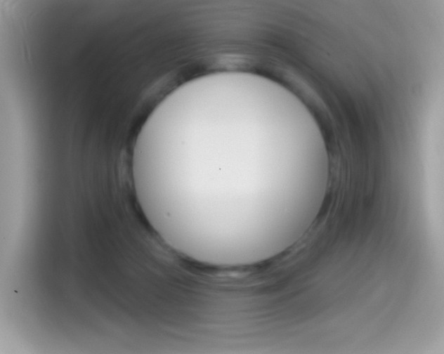 X0000114440361200910161057
