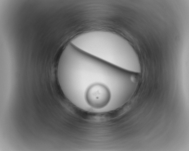 X0000114440366200910161057