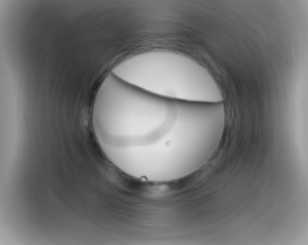 X0000114440374200910161057