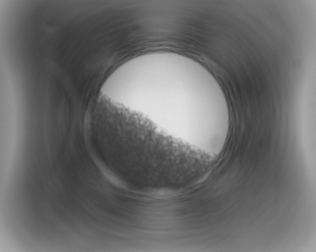 X0000114440379200910161057