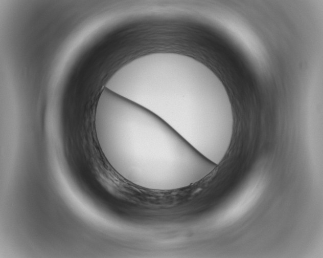 X0000114440383200910161057