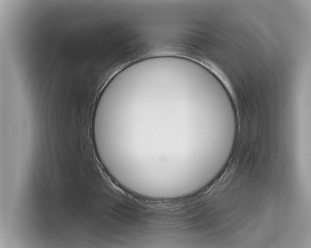 X0000114440385200910161056