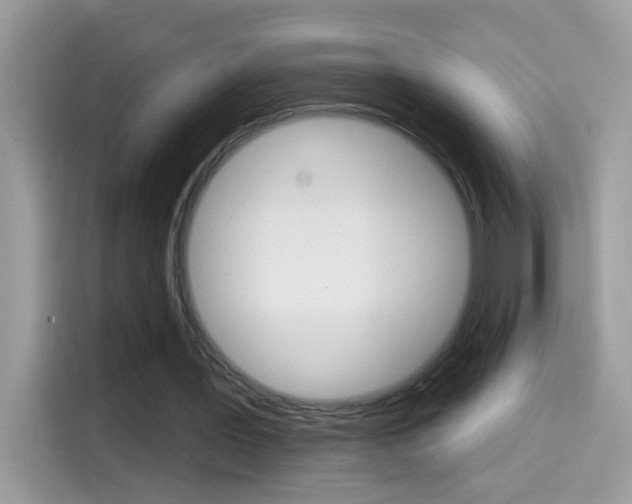 X0000114440387200910161056