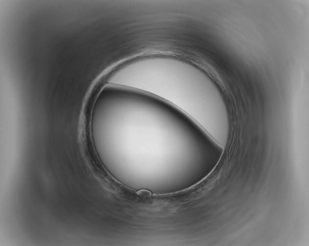 X0000114440388200910161056