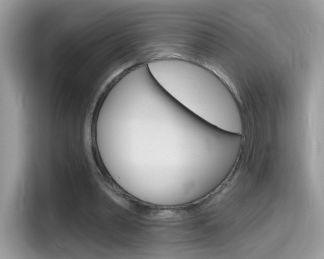 X0000114440390200910161056