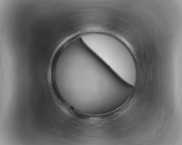 X0000114440391200910161056
