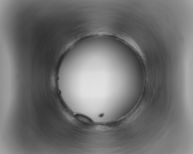 X0000114440393200910161056