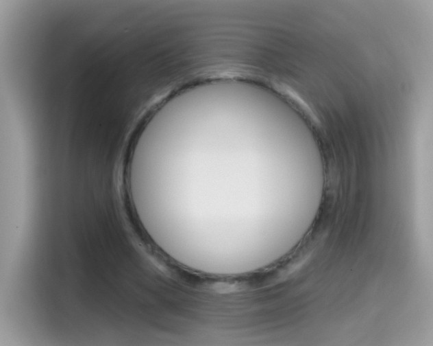 X0000114440394200910161056