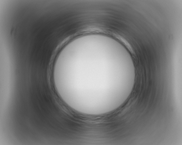 X0000114440399200910161056
