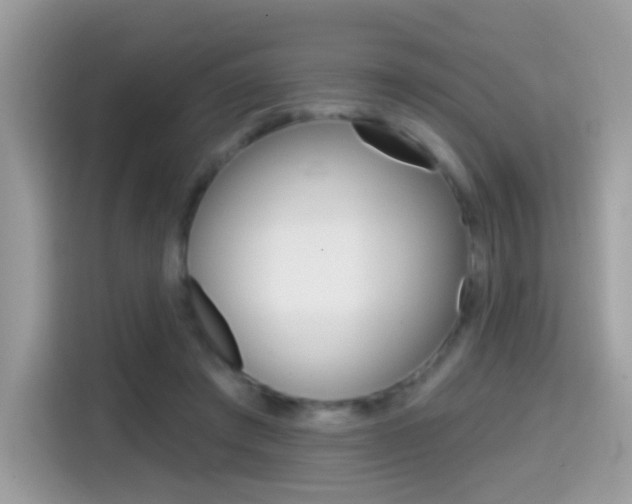X0000114440401200910161056