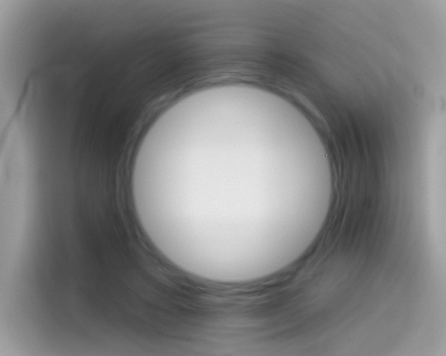 X0000114440403200910161056