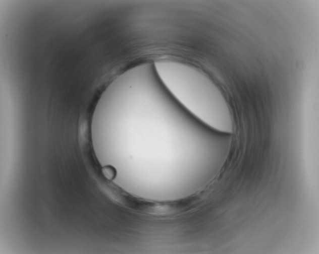X0000114440406200910161056