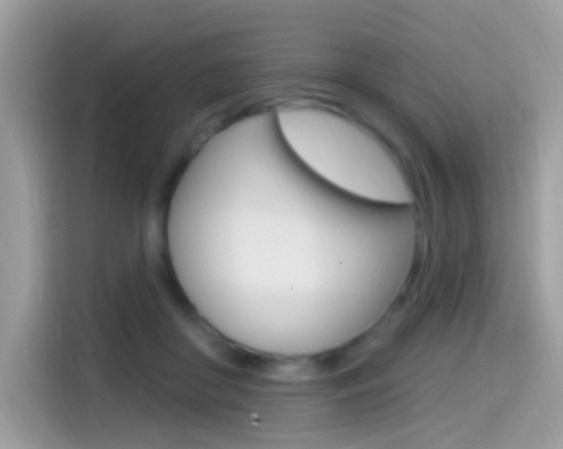 X0000114440410200910161056
