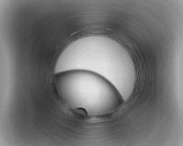 X0000114440413200910161056