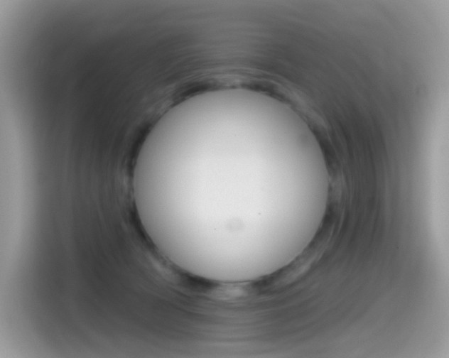 X0000114440418200910161056