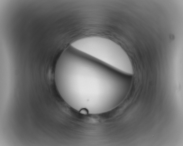 X0000114440420200910161056