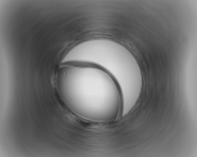 X0000114440423200910161056
