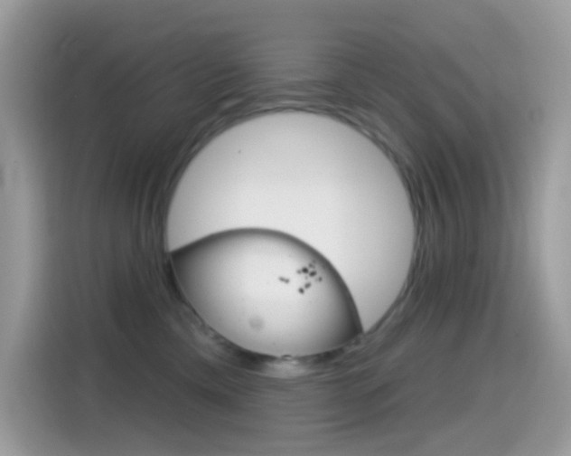 X0000114440425200910161056