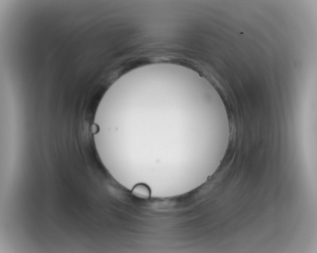 X0000114440426200910161056