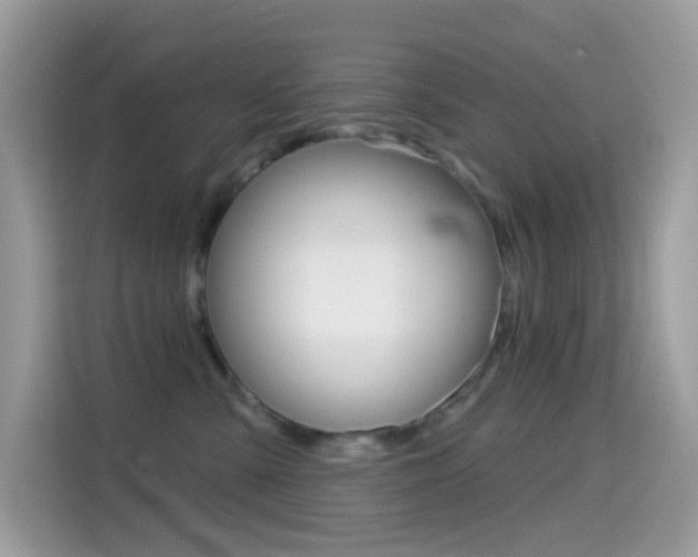 X0000114440427200910161056
