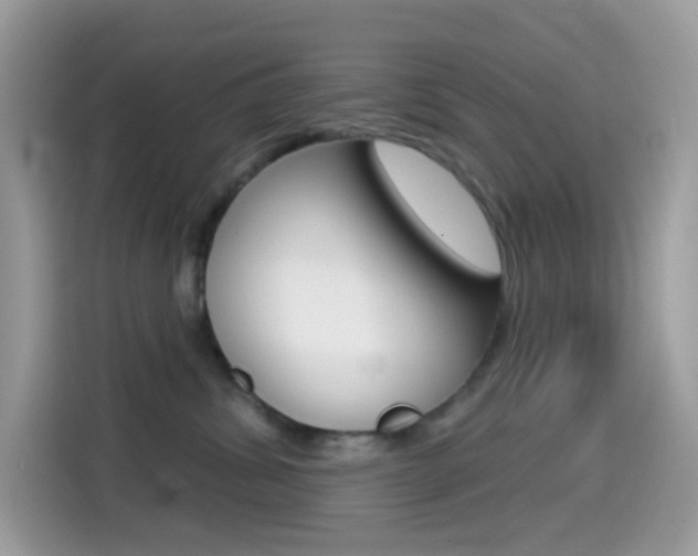 X0000114440428200910161056