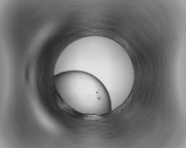 X0000114440429200910161056