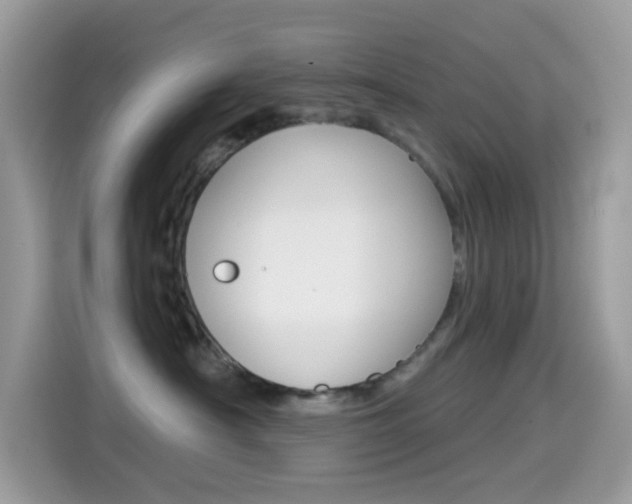 X0000114440430200910161056