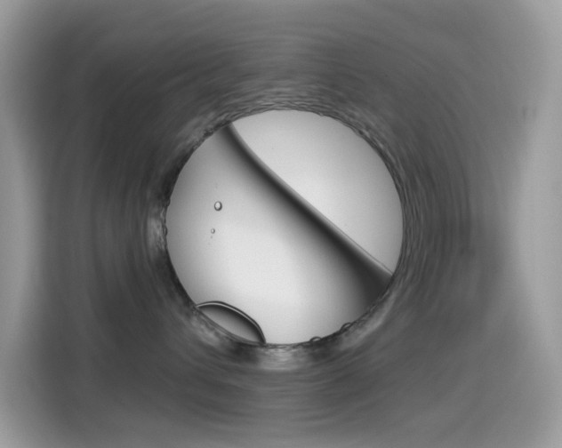 X0000114440432200910161056