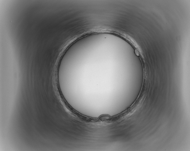 X0000114440433200910161055