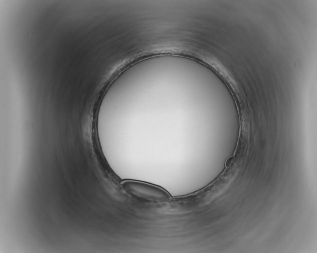 X0000114440434200910161055