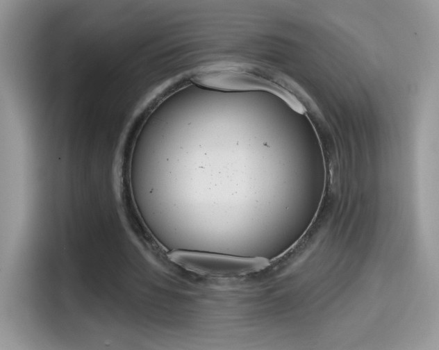 X0000114440436200910161055