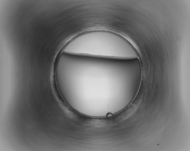 X0000114440437200910161055