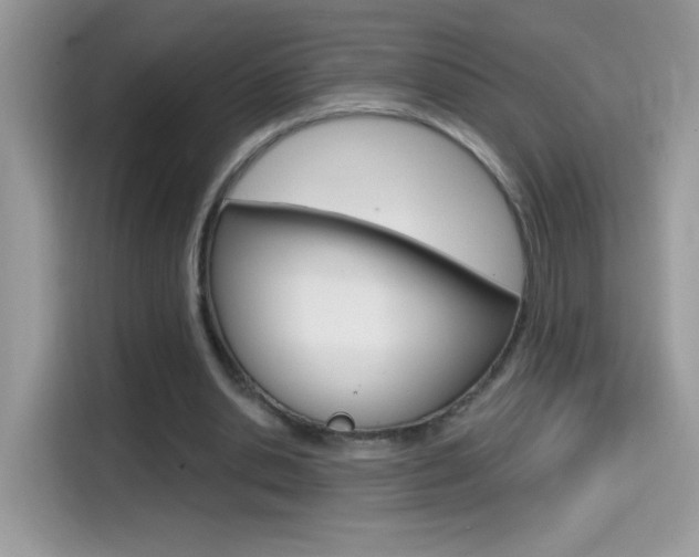 X0000114440438200910161055