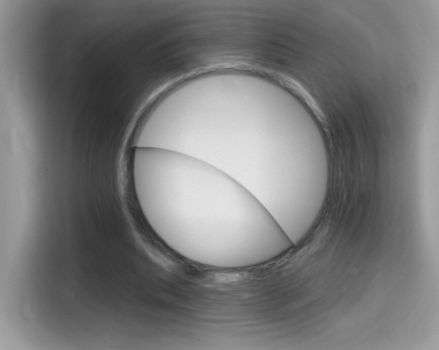 X0000114440439200910161055