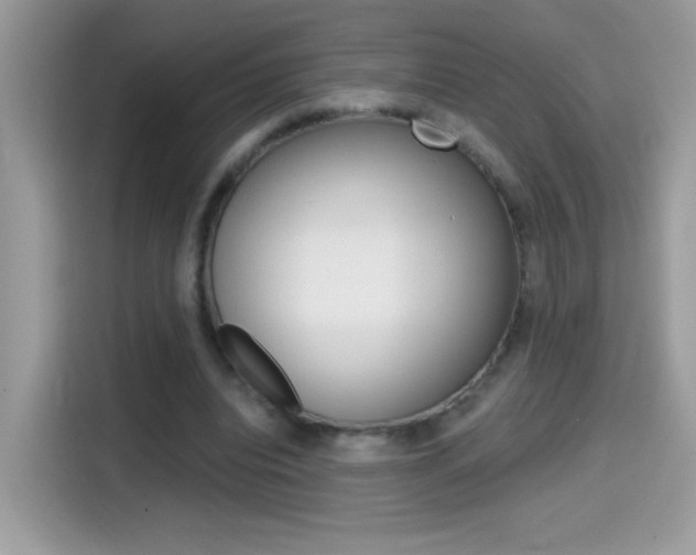 X0000114440440200910161055