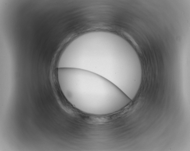X0000114440443200910161055