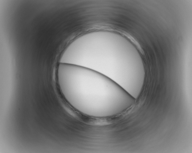 X0000114440445200910161055