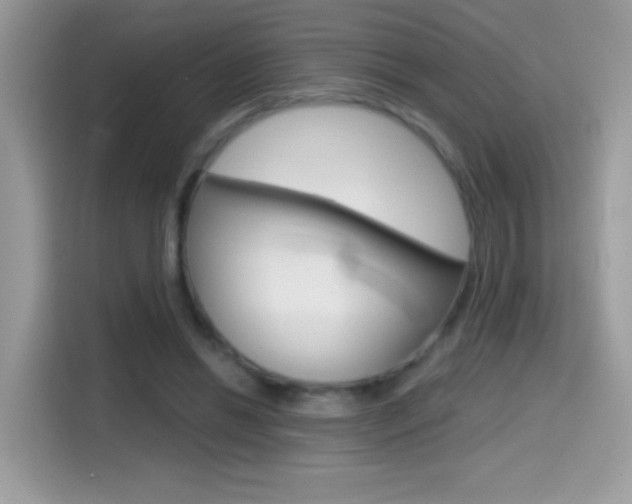 X0000114440446200910161055