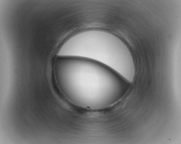 X0000114440448200910161055