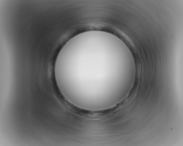 X0000114440451200910161055