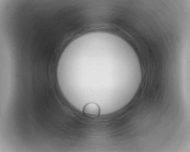 X0000114440452200910161055