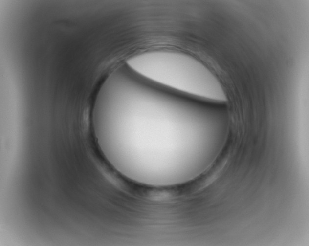X0000114440454200910161055