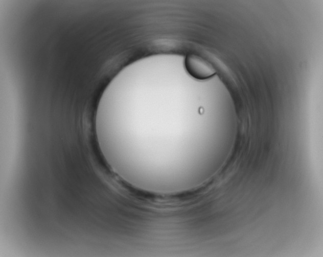 X0000114440455200910161055