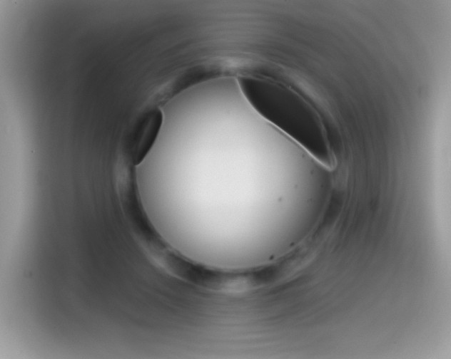 X0000114440456200910161055