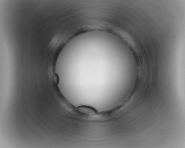 X0000114440457200910161055