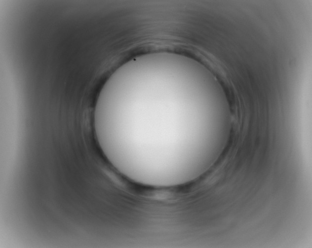 X0000114440462200910161055