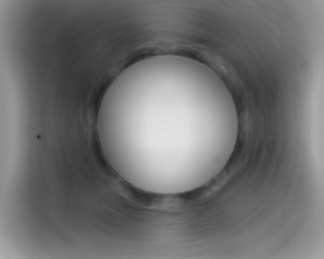 X0000114440463200910161055